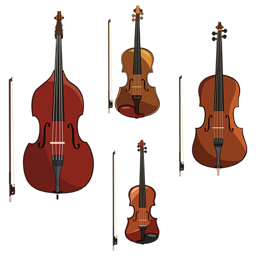 bass-cello-viola-violin